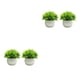 thumbnail image 3 of Plantas de simulación en maceta Cateissary 2 piezas decoración del hogar doble verde 15 cm, 3 of 6