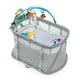 thumbnail image 1 of Playard plegable Baby Einstein Kick & Snooze con capazo, 1 of 9