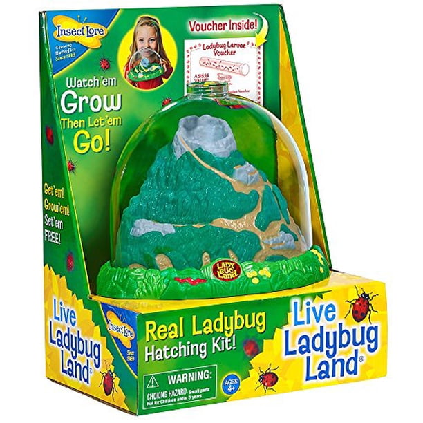 Insect Lore Ladybug Growing Kit Toy Includes Voucher Coupon For Baby 