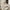 White, variant on Wooden Twin Size Daybed, Extendable Platform Bed Frame with Trundle, Two Storage Drawers, Modern Rustic Platform Daybed  for Bedroom, Living Room, White