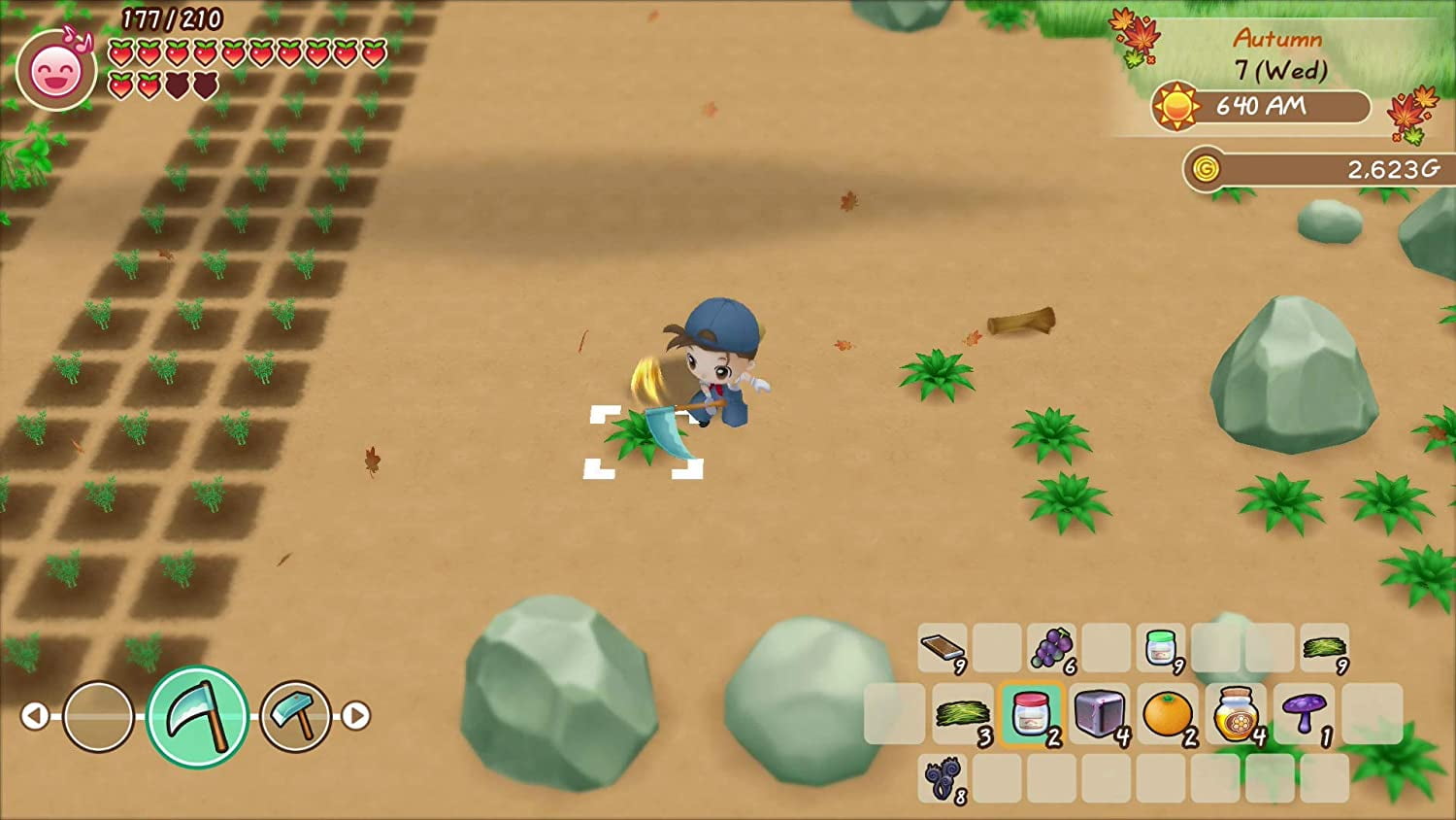 story of seasons nintendo switch