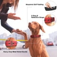 thumbnail image 2 of Collar de perro PetiFine Heavy Duty con hebilla de metal para perros pequeños, 2 of 7