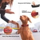 thumbnail image 2 of Collar de perro PetiFine, resistente y ajustable para perros de talla XL, 2 of 7