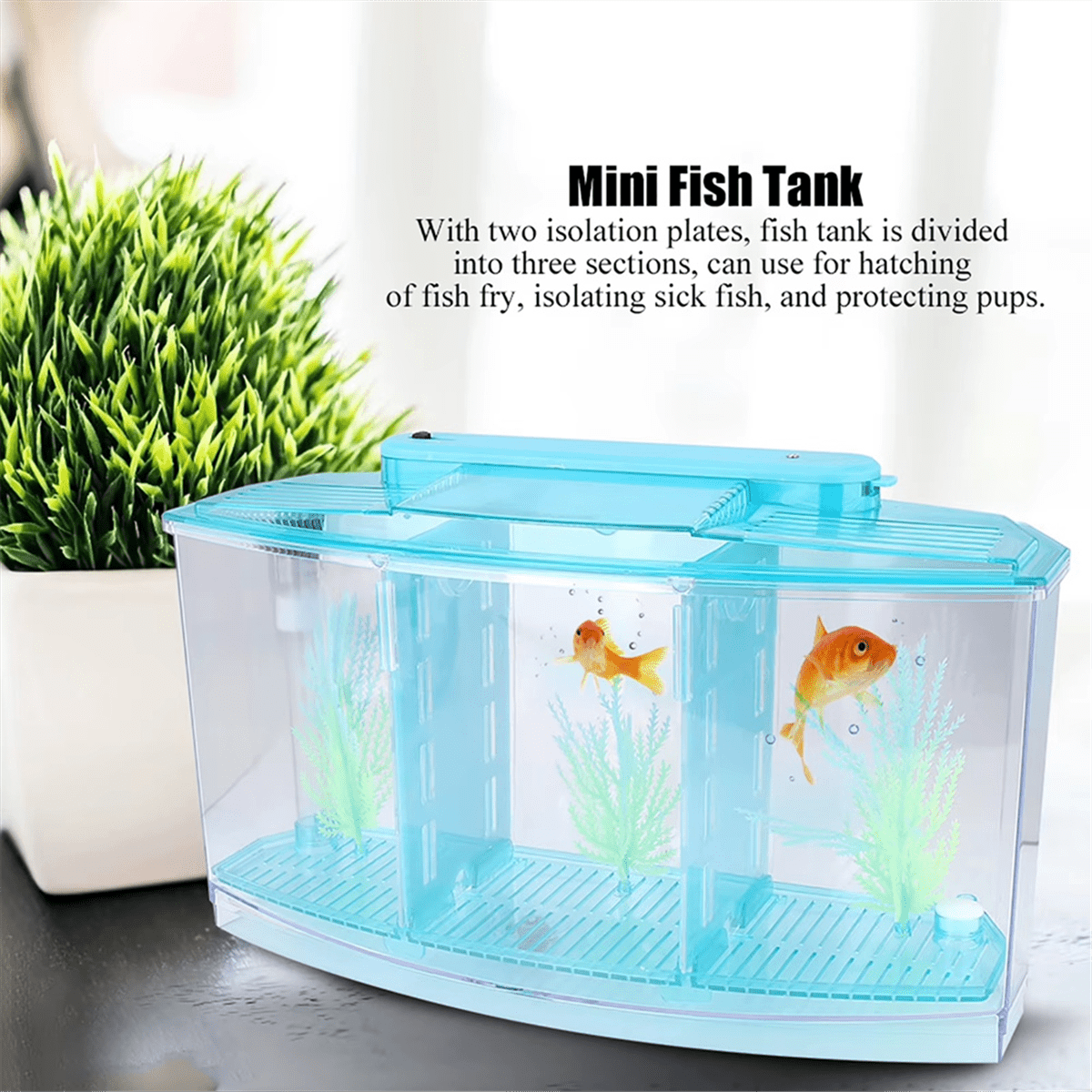 Mini Breeding Fish Tank Aquarium Fish Tank LED Acrylic Three Divisions Breeding Isolation Box for Small Fishes Blue