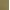 Washed Green, variant on Time and Tru Women's Barrel Bermuda Shorts, Sizes 0-20