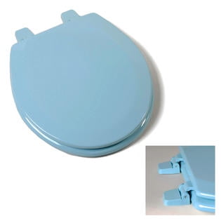 blue plastic toilet seat