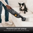 thumbnail image 4 of Shark UltraCyclone Pet Pro+ Handheld Vacuum, Pet Friendly, Self-Cleaning Pet Brush, CleanTouch Empty, CH951, Black, 4 of 23