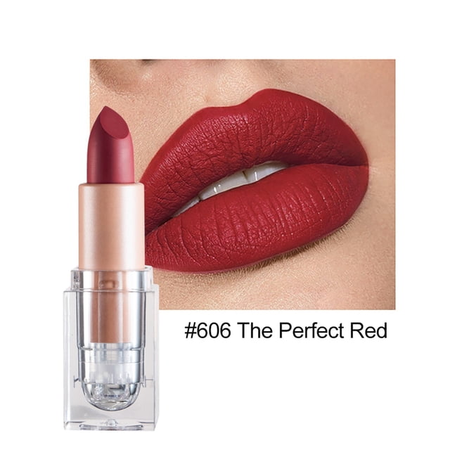 Fiudx Set de Labiales Mate, 12 Colores Vibrantes, Fórmula Hidratante, Larga Duración, Imprescindible de Maquillaje para Mujer, Kit para El Cuidado de Los Labios, Regalo para Ella