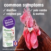 HomeoPet Avian DIGESTIVE UPSETS Digestive Health Support Drops for Birds & Chickens, 15 mL