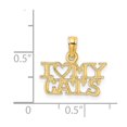thumbnail image 4 of FB Jewels 14K Yellow Gold I Love My Cats Pendant, 4 of 4