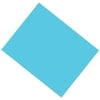 Coated Poster Board, 22" x 28", Light Blue, Pack of 25