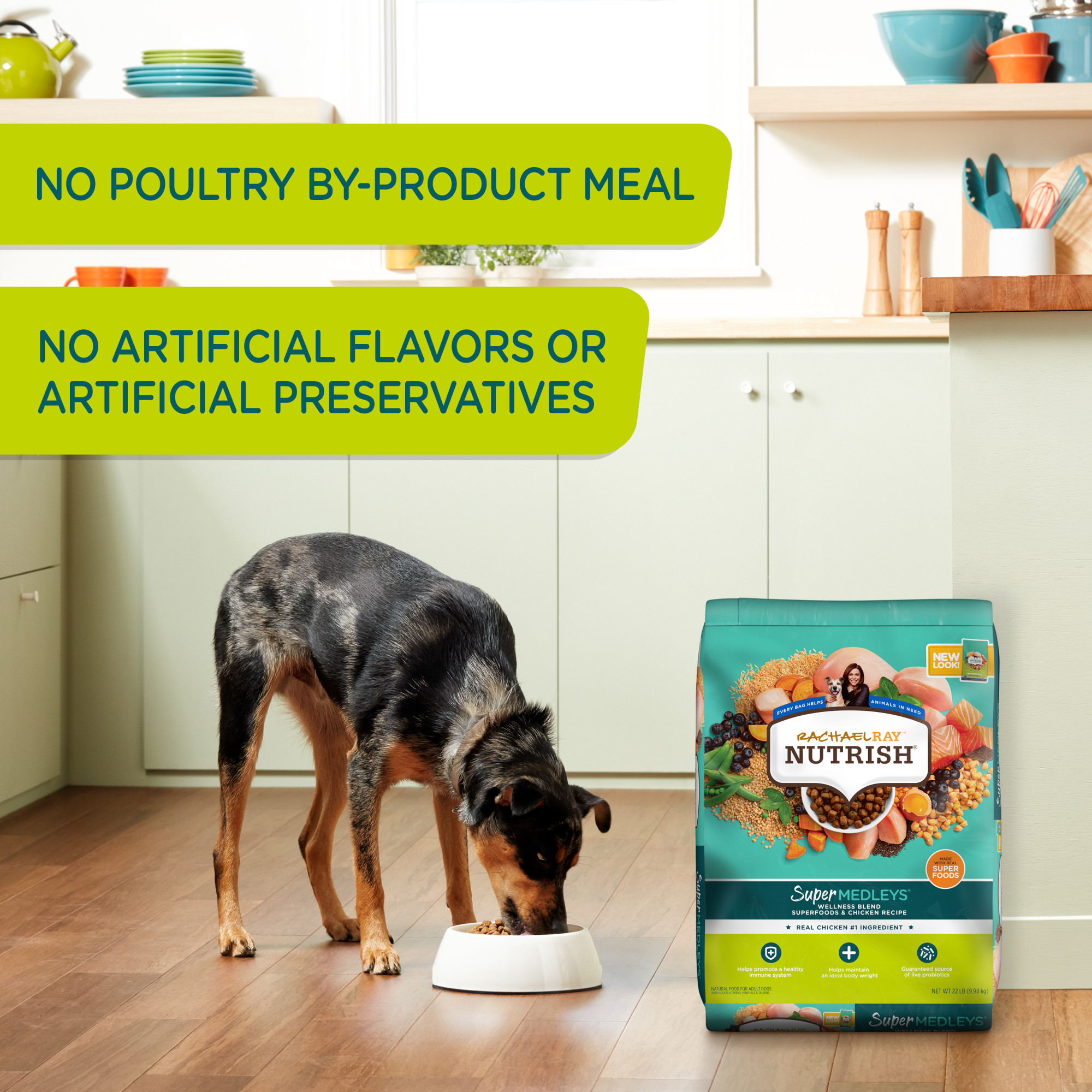 Rachael Ray Nutrish SuperMedleys Wellness Blend Superfoods & Chicken Recipe, Dry Dog Food, 22 lb (Packaging May Vary)