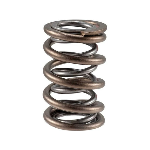 Intake and Exhaust Valve Spring - Compatible with 1975 - 1996 Ford F-150 1976 1977 1978 1979 1980 1981 1982 1983 1984 1985 1986 1987 1988 1989 1990 1991 1992 1993 1994 1995