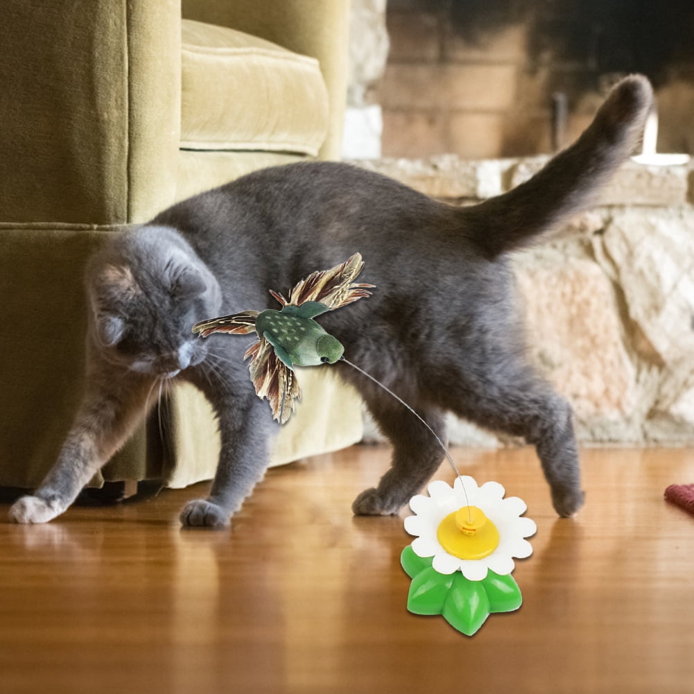 butterfly cat toy walmart