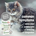 thumbnail image 4 of HomeoPet Feline NOSE RELIEF Nasal and Sinus Health Support Drops for Cats, 15 mL, 4 of 9