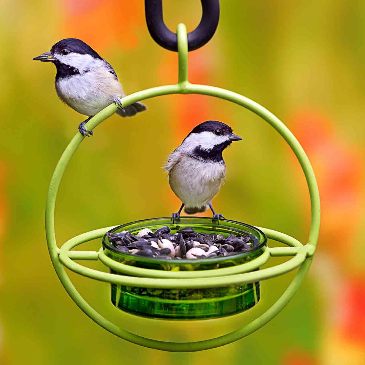 Mosaic Birds Hummble Bold Hanging Bird Feeder for Outdoors, Oriole, Finch Wild Bird Feeders - Red