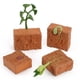 thumbnail image 2 of Xihbxyly Oferta Del Día Prime Liquidación de Hoy Jugues Model Of Ciclo de Crecimiento para Niños con Simulación Educativa, 2 of 7