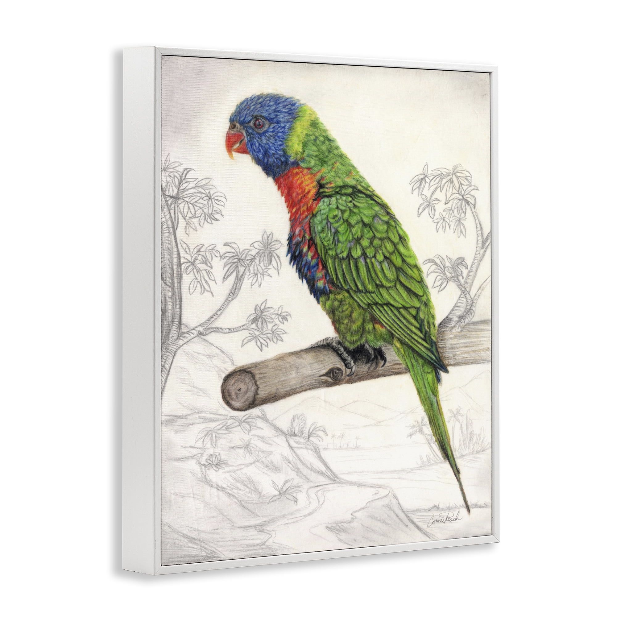 Stupell Industries Lorikeet Sketched Nature Animals & Insects Painting White Framed Art Print Wall Art, 16 x 20