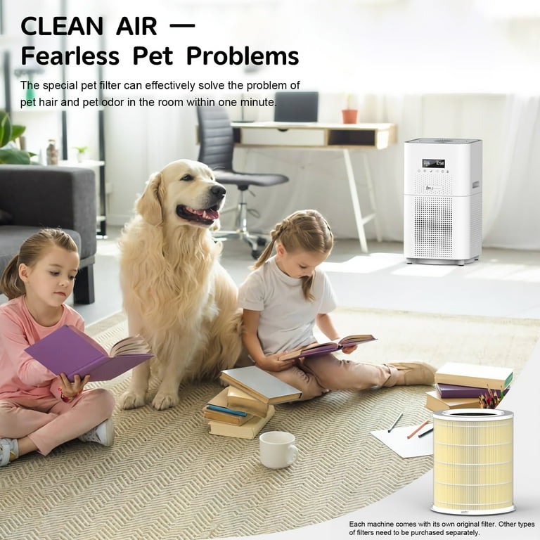 Best air purifier for pets and shops dust