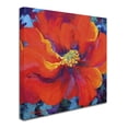 thumbnail image 3 of Trademark Fine Art 'Passion Poppy' Canvas Art by Marion Rose, 3 of 3