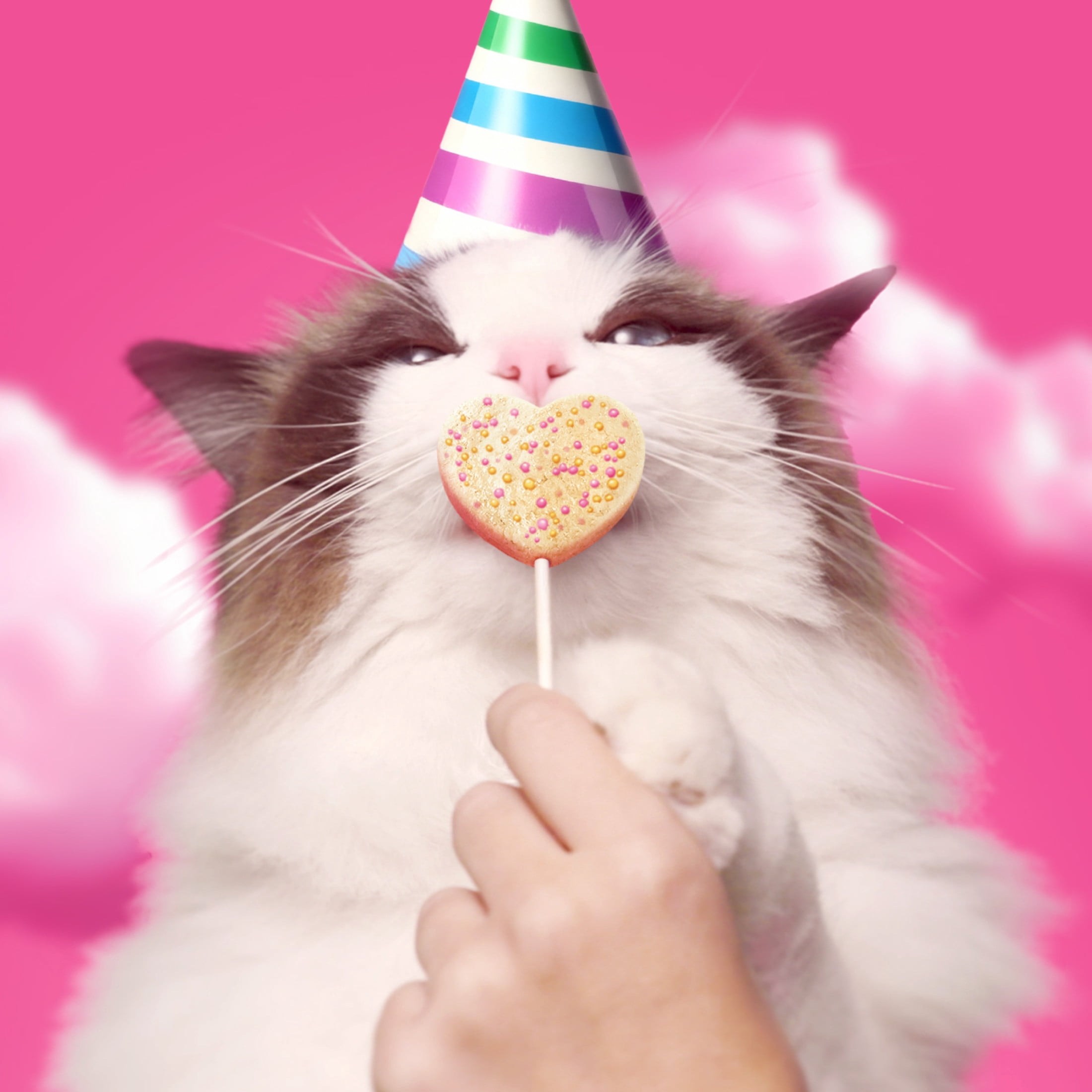 BONKERS Purrpops Birthday Edition Freeze-Dried Chicken Flavored Lollipop Treats for Cats, 4 pack