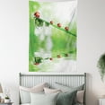 thumbnail image 4 of Ladybugs Tapestry, Ladybugs on A Stem over the Water Striped Animals Fresh Environmental Life Image, Wall Hanging for Bedroom Living Room Dorm Decor, 40W X 60L Inches, Red Green, by Ambesonne, 4 of 5