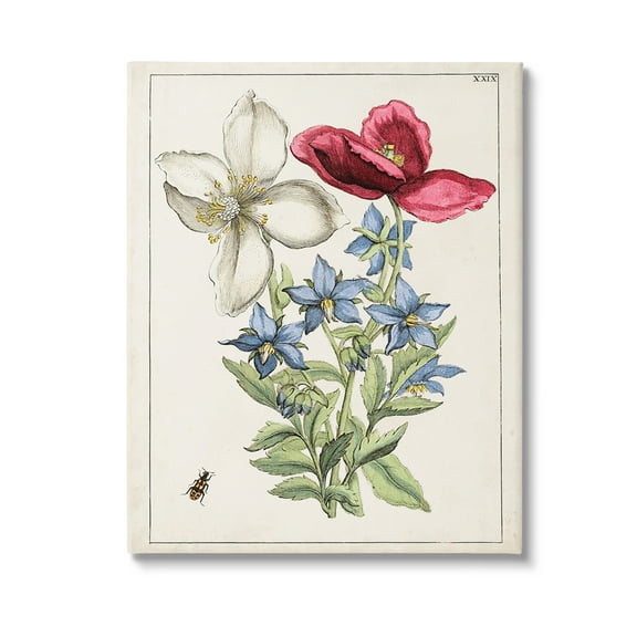 Stupell Industries Vintage Beetle & Flowers Botanical & Floral Painting Gallery Wrapped Canvas Art Print Wall Art, 16 x 20