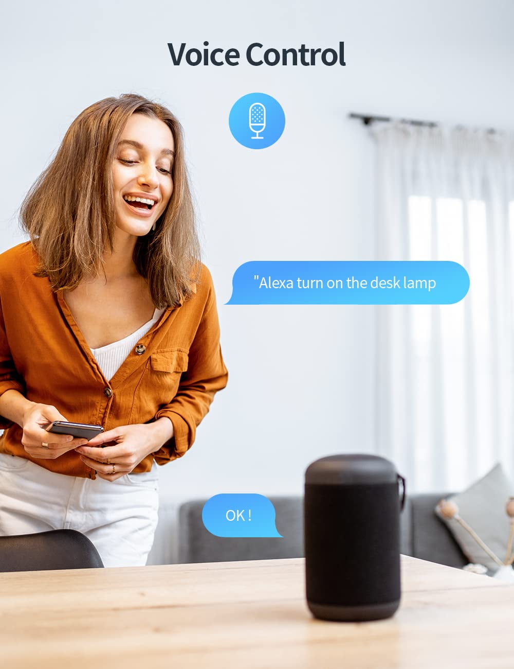 Smart WiFi Mini Plug Outlet, Works with Alexa and Google Home, Voice C –  Sungale E-Store
