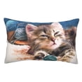thumbnail image 1 of Balery Playful Cat Funda de Cojín Estampada, Regalos para Mujeres, Regalos de Amor para Ella, Regalos para Novia o Esposa, Funda de Almohada-16"x24", 1 of 6