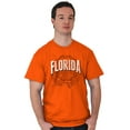 thumbnail image 5 of Florida FL Student Campus Pride Men's Graphic T Shirt Tees Brisco Brands M, 5 of 6