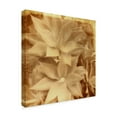 thumbnail image 2 of Trademark Fine Art 'Halia Aloha IV' Canvas Art by Jason Johnson, 2 of 4