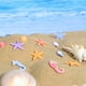 thumbnail image 5 of 48 piezas de mini animales marinos decorativos, adornos de micro paisajes, decoración de animales marinos de resina (), 5 of 7