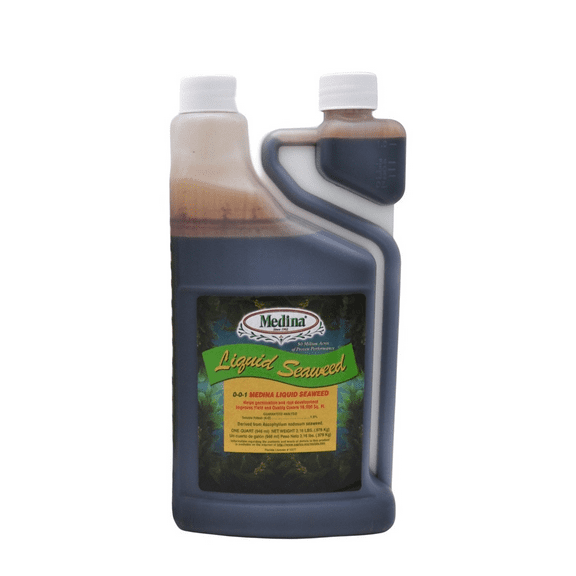 Liquid Seaweed Fertilizer - Aids Germination, Rooting, and Transplanting -32 fl oz Bottle by Medina