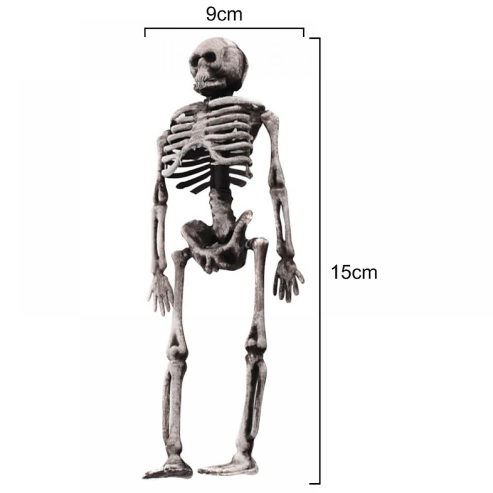 life-size-skeleton-160cm-cd03067-primary-ict