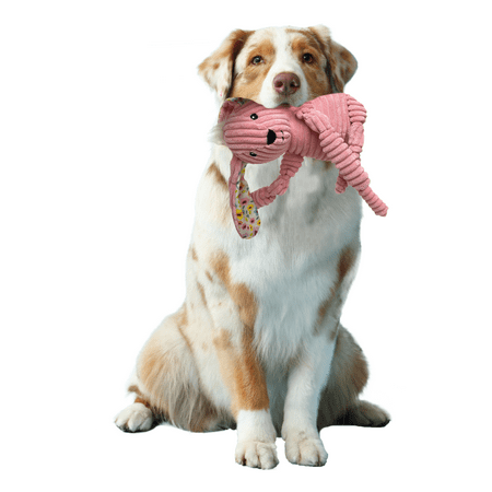 Vibrant Life Easter Pink Bunny Dog Toy, Pink