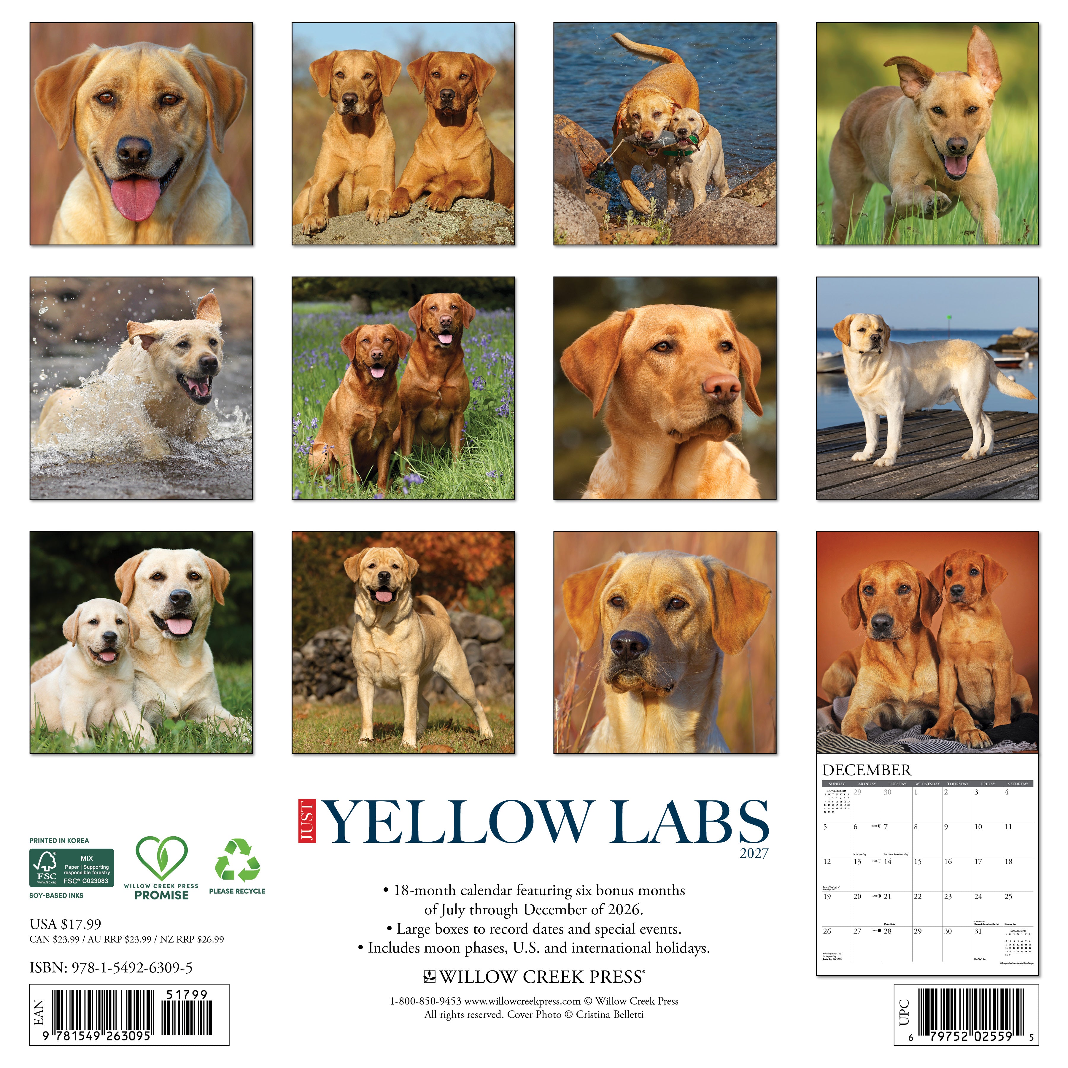 Willow Creek Press, Yellow Labs 2027 Wall Calendar