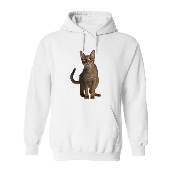 Abyssinian Cat Staring Intently Hoodie Women -Image by Shutterstock, Female Small