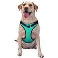thumbnail image 1 of Fotbe Turquoise Light Blue Arnés para Perro con Estampado –Chaleco Ajustable Acolchado con Asa de Control para Perros Grandes-X-Large, 1 of 6