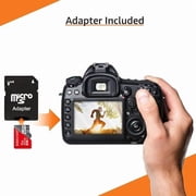 Micro SD Card 256GB Memory Cards 256GB Micro SD Memory Card Class 10 Fast Speed Mini SD Card for Smartphones/Computer TF Card for Camera/Car Navigation