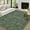 Green, variant on GlowSol 5'x7' Area Rug Soft Washable Oriental Distressed Rug Non-Slip Low Pile Indoor Carpet for Dining Room Home Office, Beige Camel