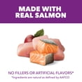 thumbnail image 3 of IAMS Advanced Health Skin & Coat Chicken and Salmon Recipe Adult Dry Dog Food, 4.5 lb Bag, 3 of 9