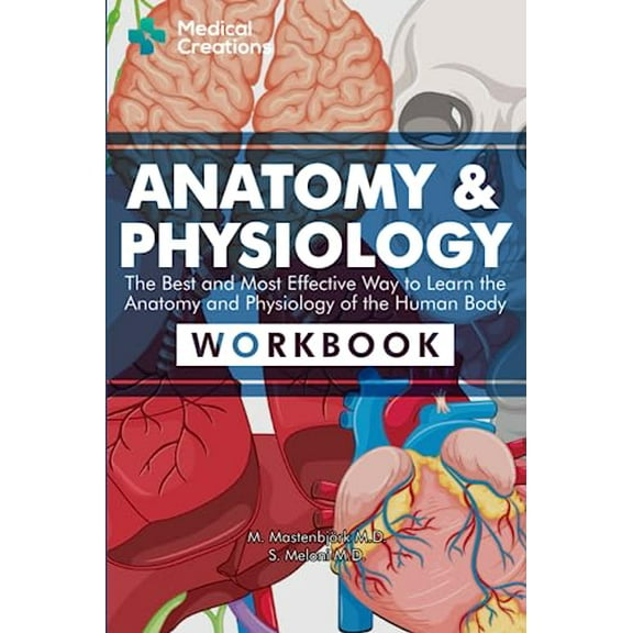 Pre-Owned Anatomy & Physiology: The Best and Most Effective Way to Learn the Anatomy and Physiology of the Human Body: Workbook Paperback