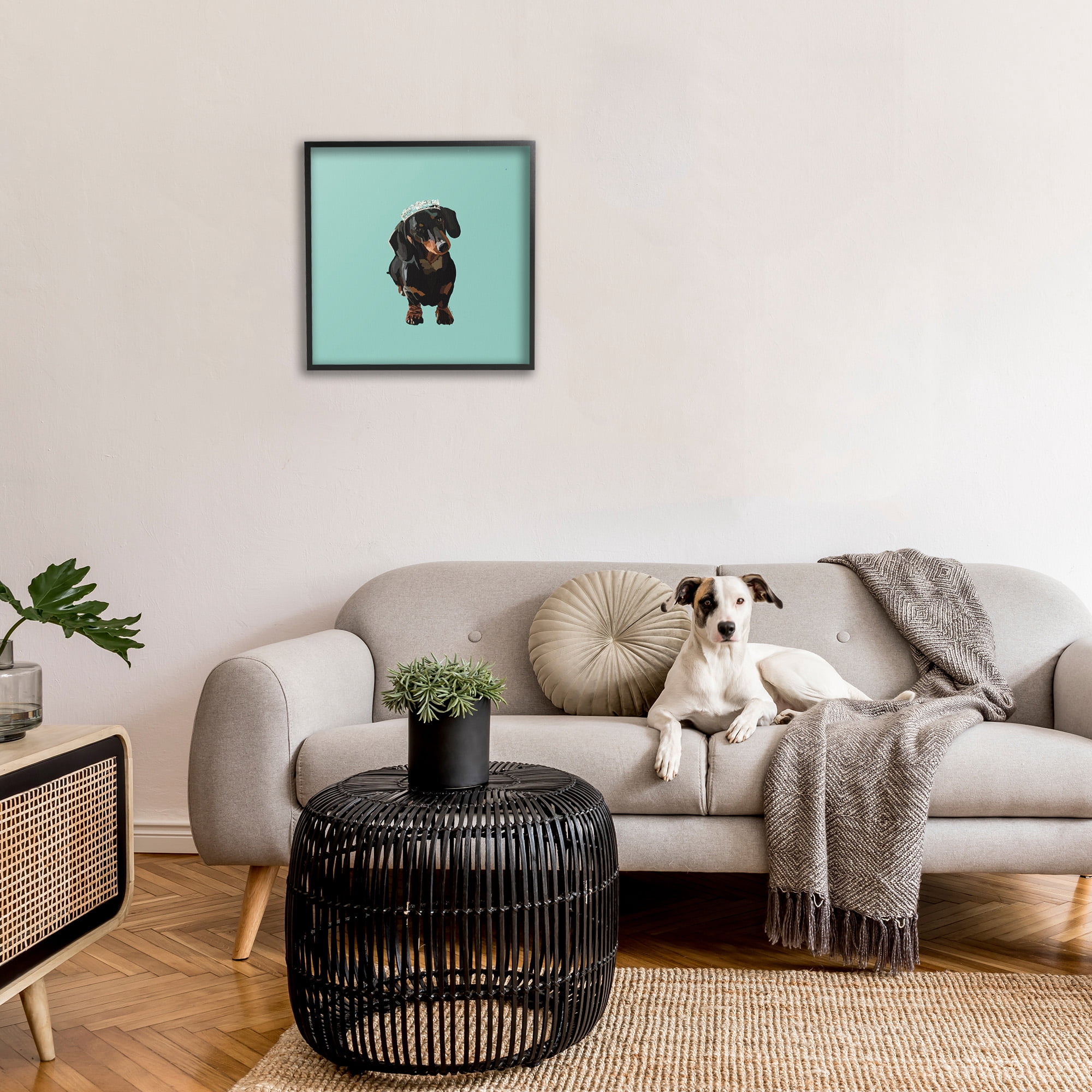 Stupell Industries Dachshund Wearing Tiara Animals & Insects Painting Black Framed Art Print Wall Art, 24 x 24
