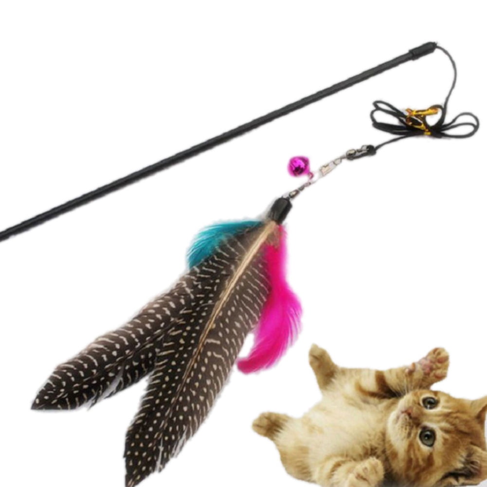 cat teaser toy