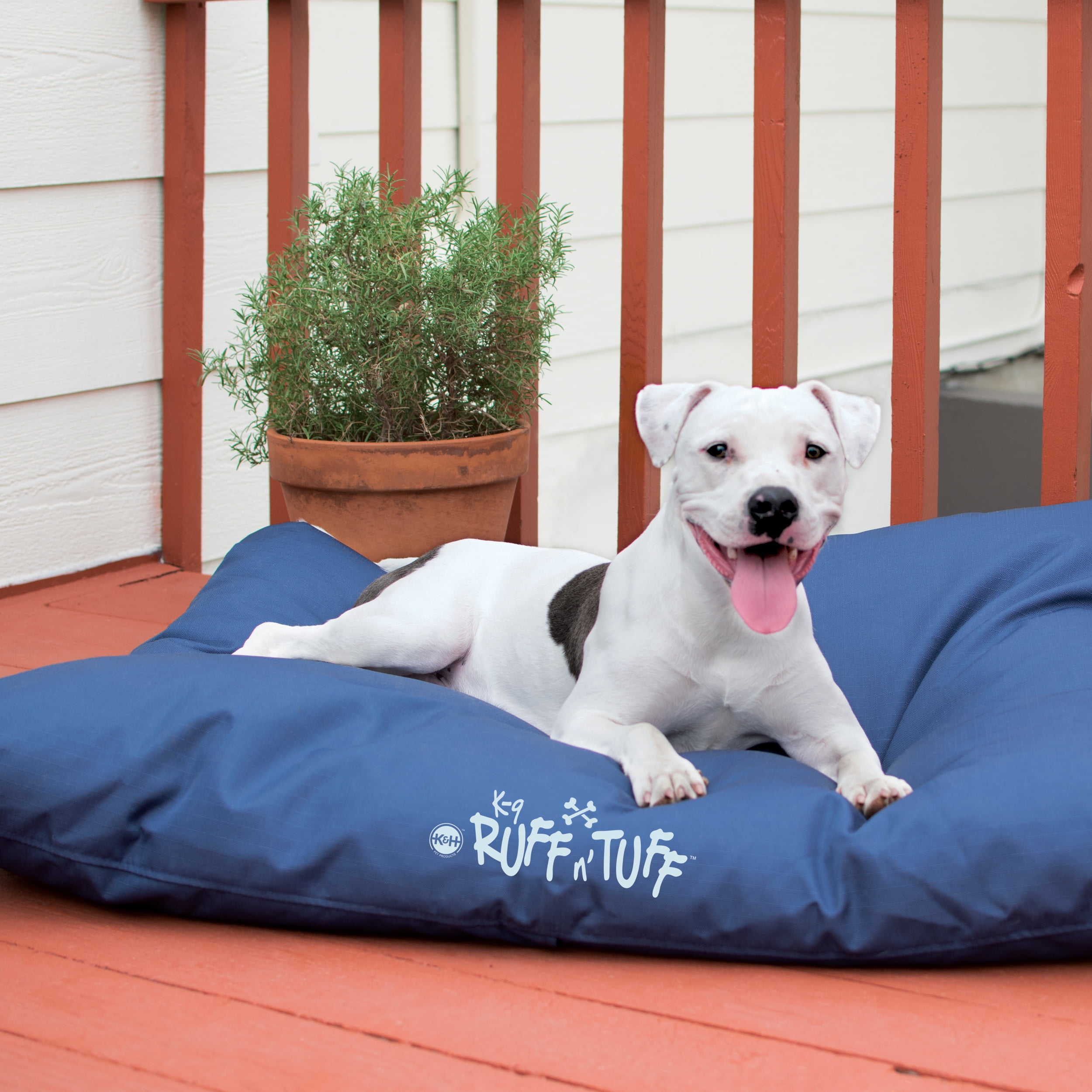 K9 ruff n tuff sales