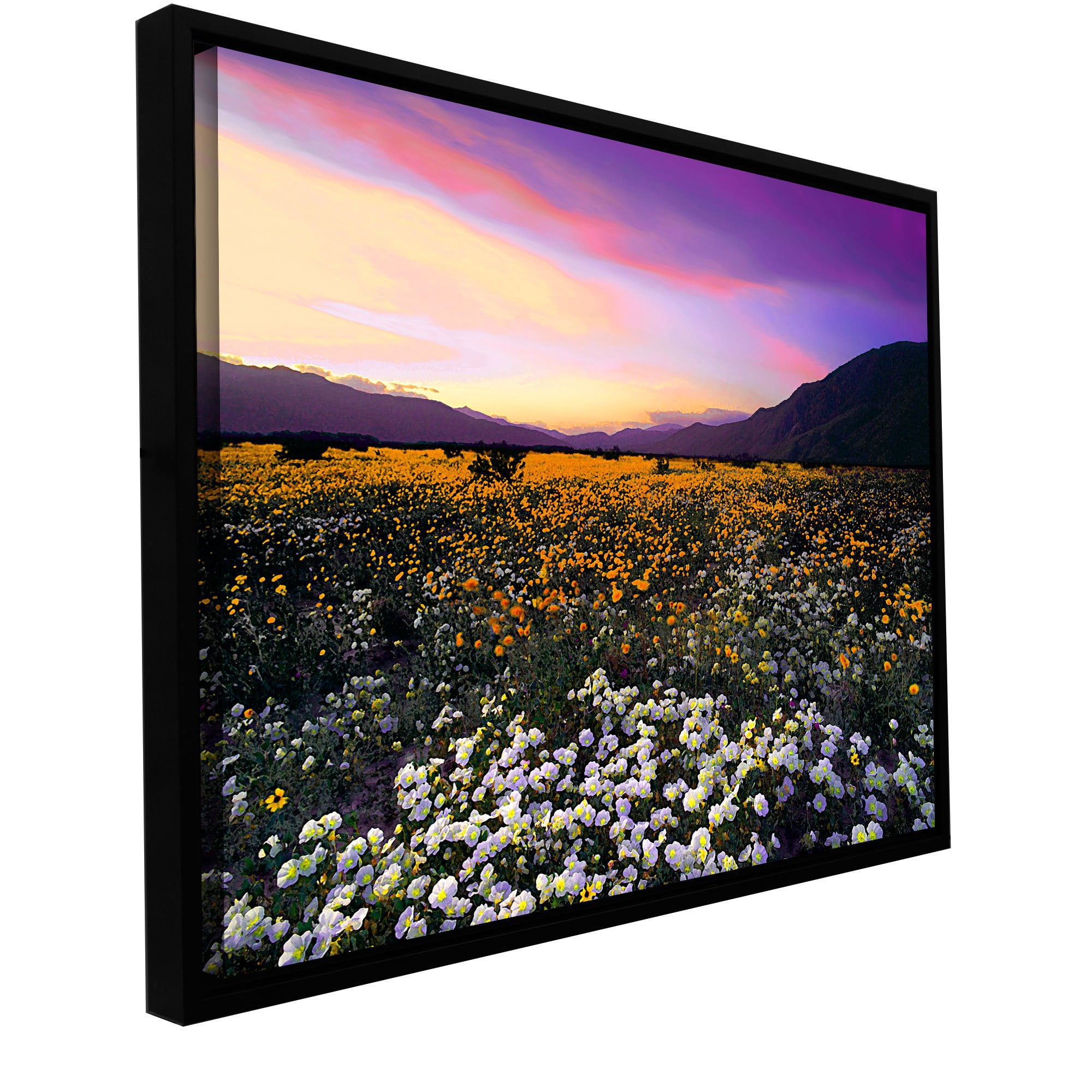 ArtWall Dean Uhlinger 'ADJ Borrego Desert Spring' Floater Framed Gallery-Wrapped Canvas Artwork, 14 by 18-Inch, Holds 12.5 by 16.5-Inch Image