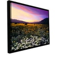 thumbnail image 2 of ArtWall Dean Uhlinger "Adj Borrego Desert Spring" Floater Framed Gallery-Wrapped Canvas, 2 of 2