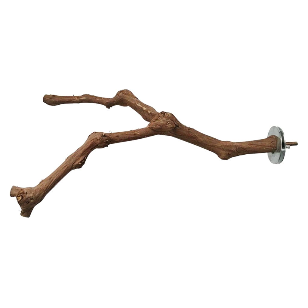 Home & Living Tree branch perch Floral Arrangements Dried Flower