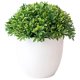 thumbnail image 5 of Plantas artificiales KGJQ - Plantas artificiales en maceta - Bonsái con forma de bola de hierba, verde, 5 of 5