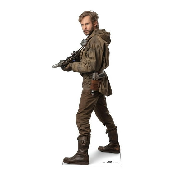 Resistance Trooper Star Wars IX, Advanced Graphics Standup, 71" x 31"